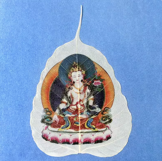 Tibetan Buddhist Bodhi Leaf Thangka in Wooden Picture Frame- White Tara, Ksitigarbha, White Manjushri, Parnashavari, White Canopy Buddha